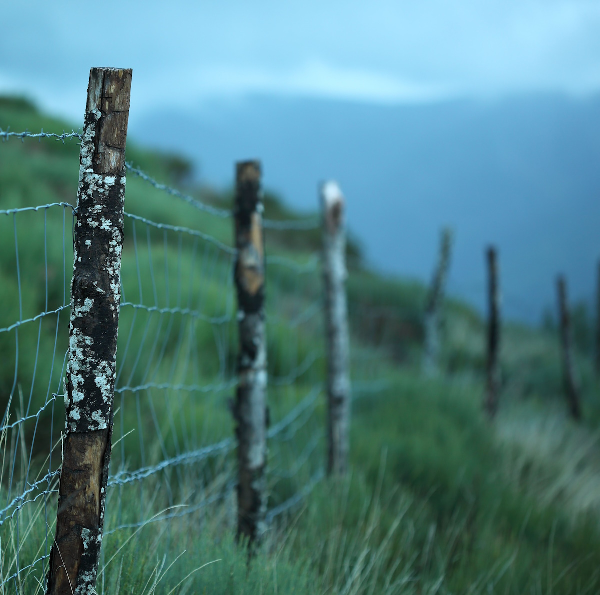 The Boundary of Blame