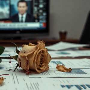 Rose on a desk with business charts scattered about